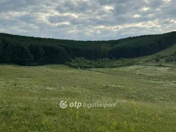 Eladó telek Bátor 6049 nm