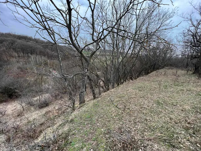 Eladó telek Balatonendréd 4124 nm