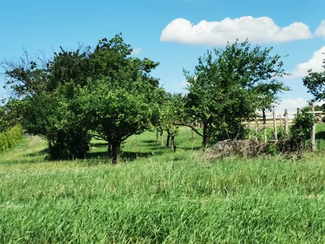 Eladó telek Kőröshegy 1564 nm