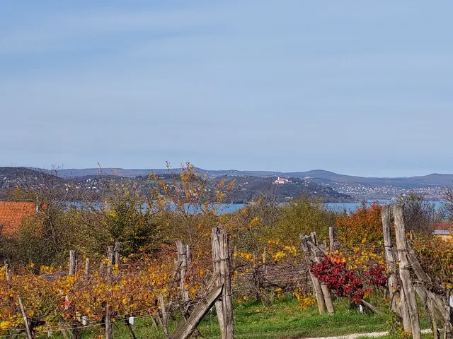 Eladó üdülő és hétvégi ház Zamárdi, Kőhegy 94 nm