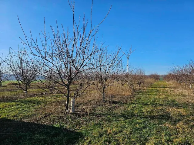 Eladó telek Balatonendréd 9850 nm