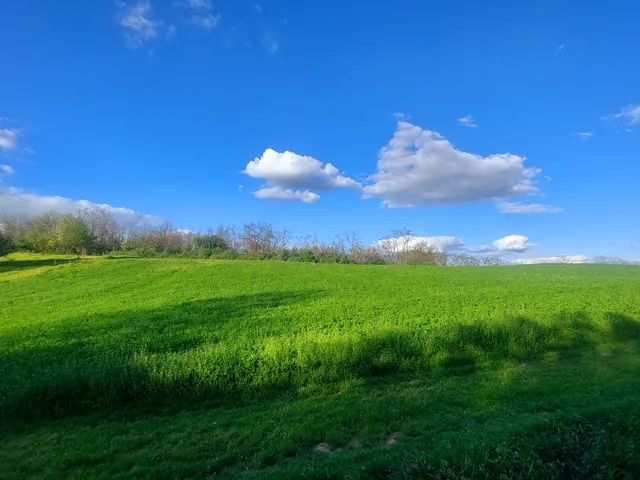 Eladó telek Balatonendréd 3704 nm