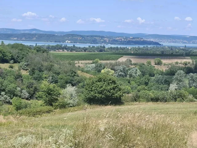 Eladó telek Kőröshegy 18923 nm