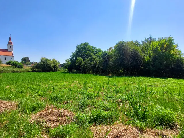 Eladó telek Bálványos, Dózsa György utca 2041 nm