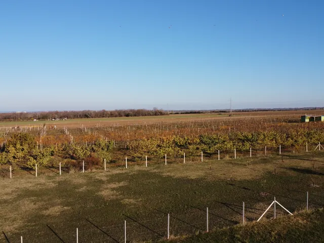 Eladó telek Zamárdi, Kőhegy 1030 nm
