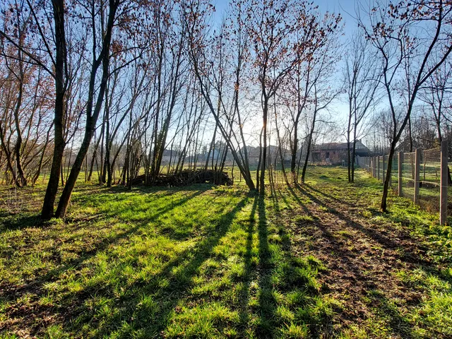 Eladó telek Balatonszemes 1201 nm