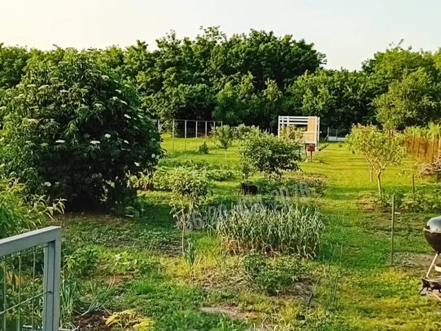 Eladó ház Siójut, Petőfi Sándor utca  45 nm