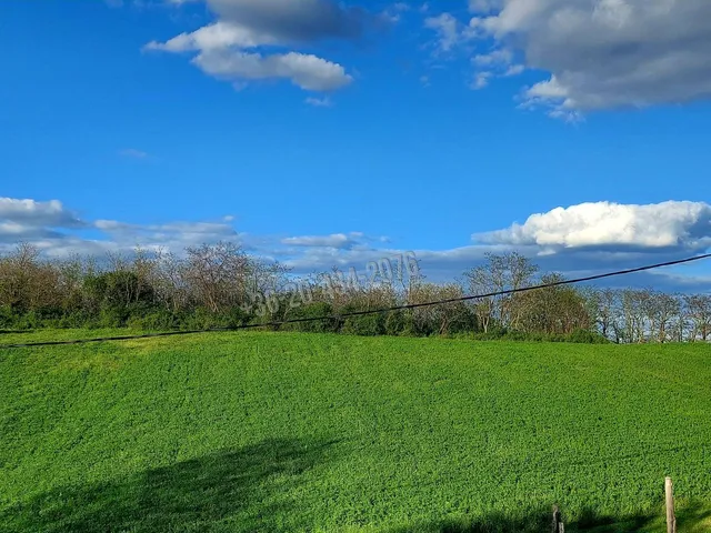 Eladó mezőgazdasági ingatlan Balatonendréd, Karancó 60 nm