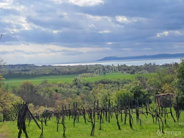 Eladó telek Zamárdi, Kőhegy 5478 nm