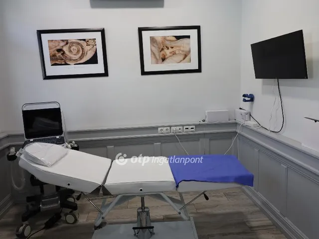 Eladó ház Budapest XIV. kerület 393 nm