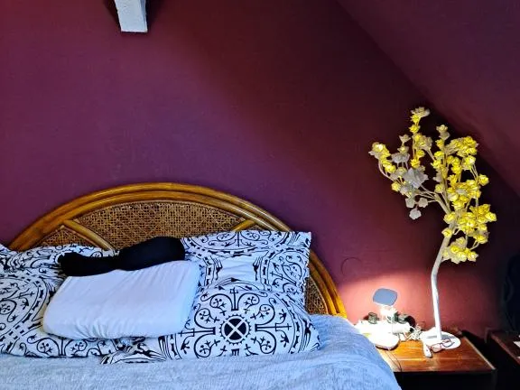 Eladó lakás Budapest XIX. kerület 107 nm