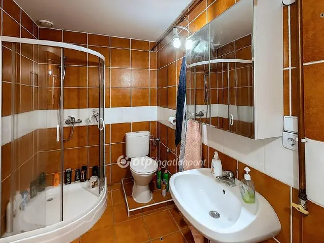 Eladó ház Vecsés 320 nm