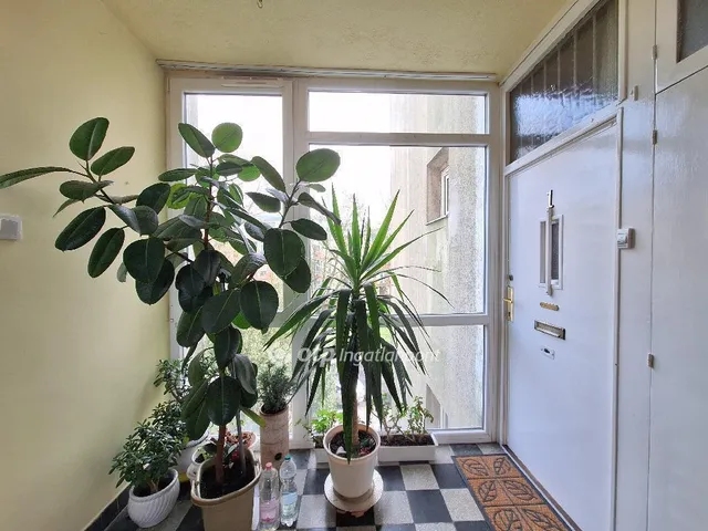 Eladó lakás Budapest IX. kerület 38 nm