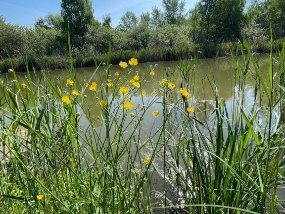 Eladó üdülő és hétvégi ház Dunaharaszti, Paradicsomsziget 68 nm