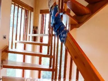 Eladó ház Budapest XVI. kerület 241 nm