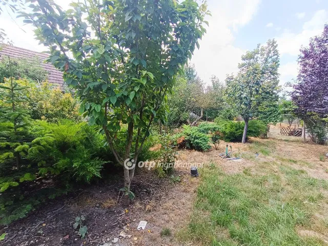 Eladó ház Kiskunlacháza 90 nm