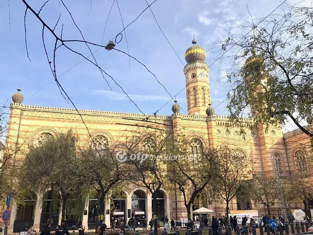 Eladó lakás Budapest VII. kerület 46 nm