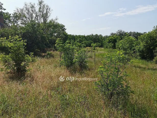 Eladó mezőgazdasági ingatlan Albertirsa 112 nm