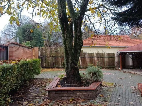 Eladó ház Budapest XVI. kerület 235 nm