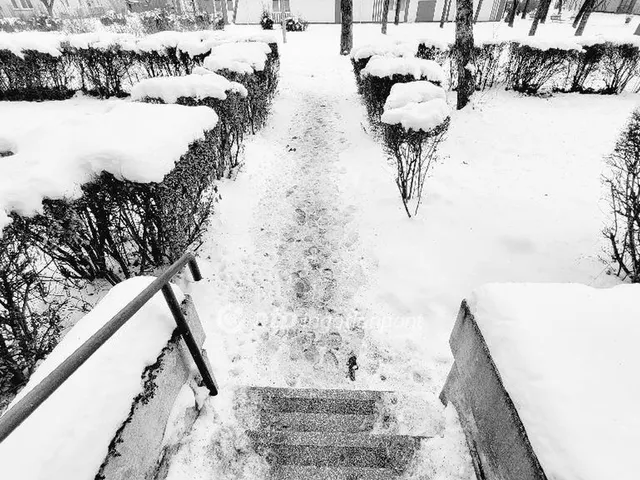 Eladó lakás Budapest XXI. kerület 47 nm