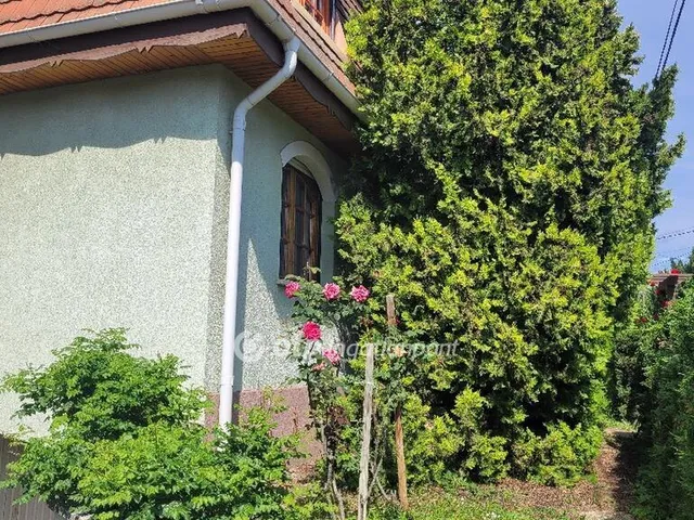 Eladó ház Szentendre, Pismány 267 nm
