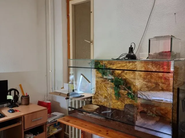 Eladó lakás Budapest XIII. kerület 58 nm