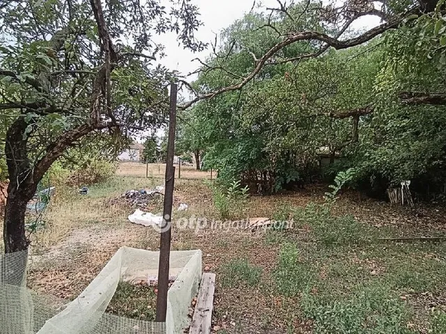 Eladó ház Jászfényszaru 141 nm