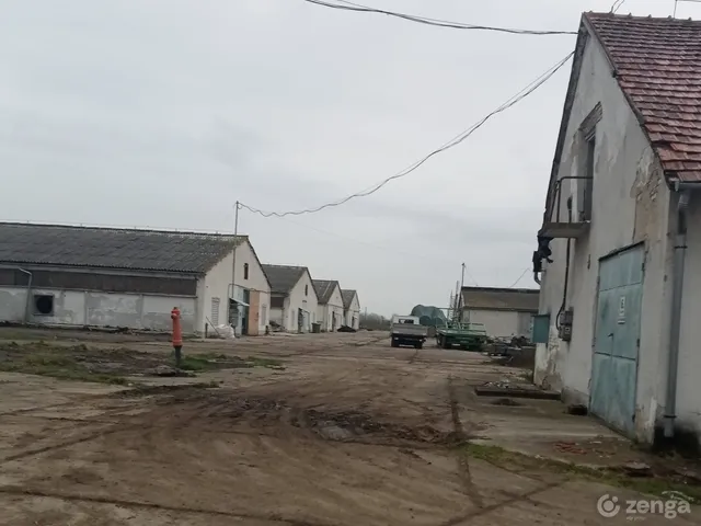 Kiadó mezőgazdasági ingatlan Hortobágy 8500 nm