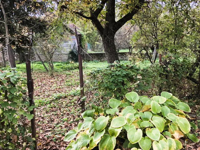 Eladó ház Cserépfalu 70 nm