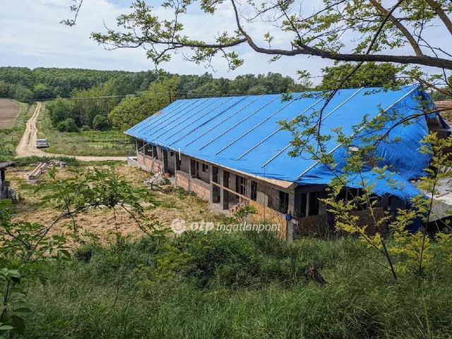 Eladó ház Bedegkér 100 nm