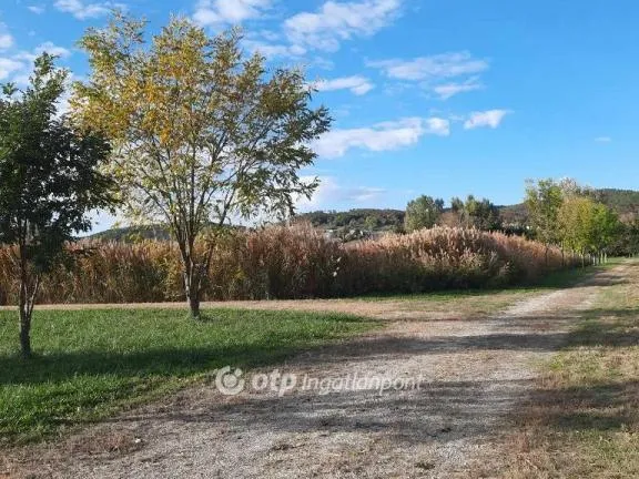 Eladó telek Balatongyörök 31500 nm