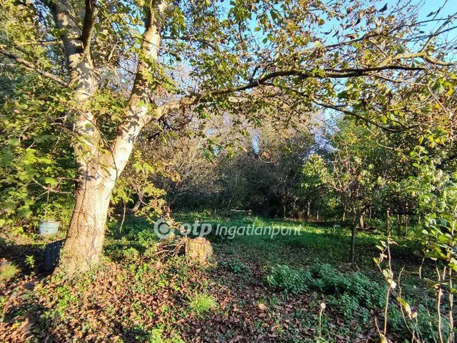 Eladó ház Zalaszántó 131 nm