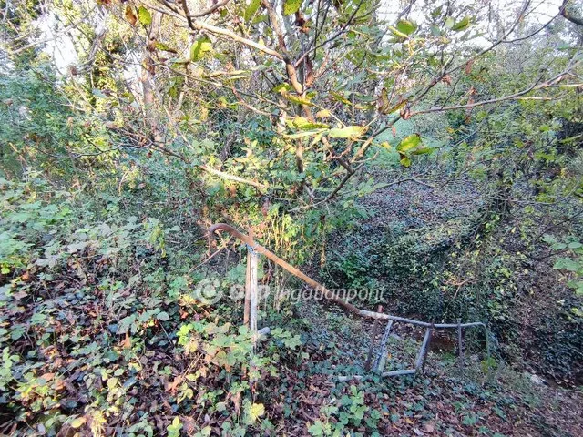 Eladó ház Zalaszántó 131 nm