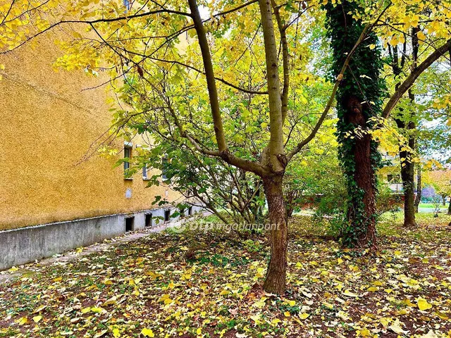 Eladó lakás Keszthely 59 nm