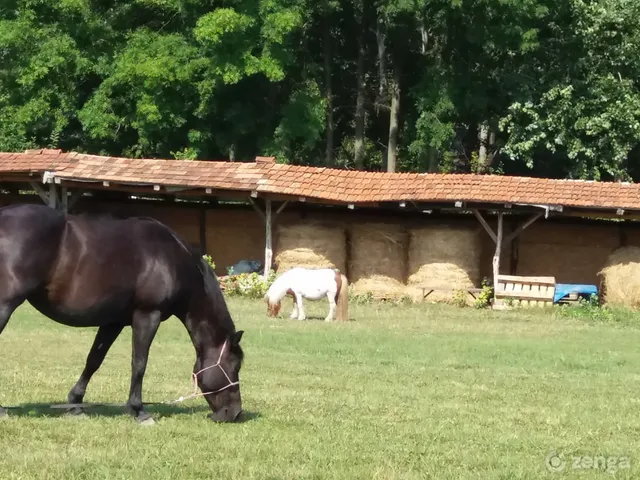 Eladó telek Kiskunlacháza, Strandi út 45000 nm