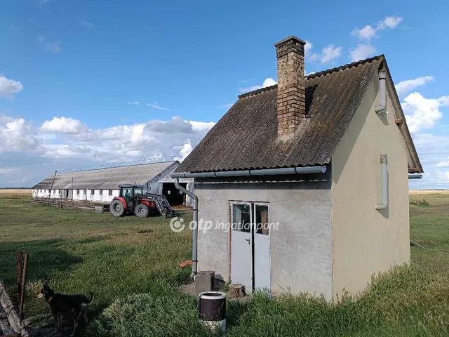 Eladó mezőgazdasági ingatlan Polgár 90 nm