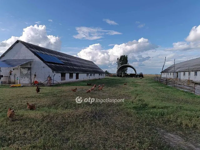 Eladó mezőgazdasági ingatlan Polgár 90 nm