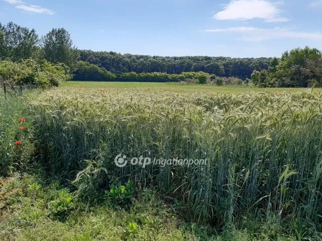 Eladó mezőgazdasági ingatlan Debrecen 2048 nm