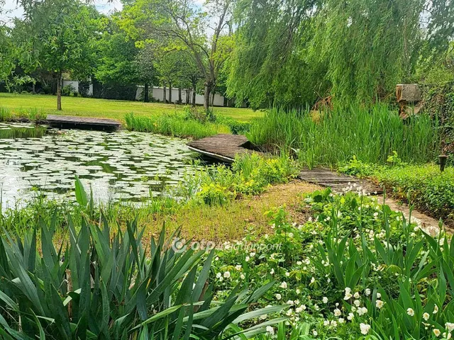 Eladó ház Debrecen 720 nm