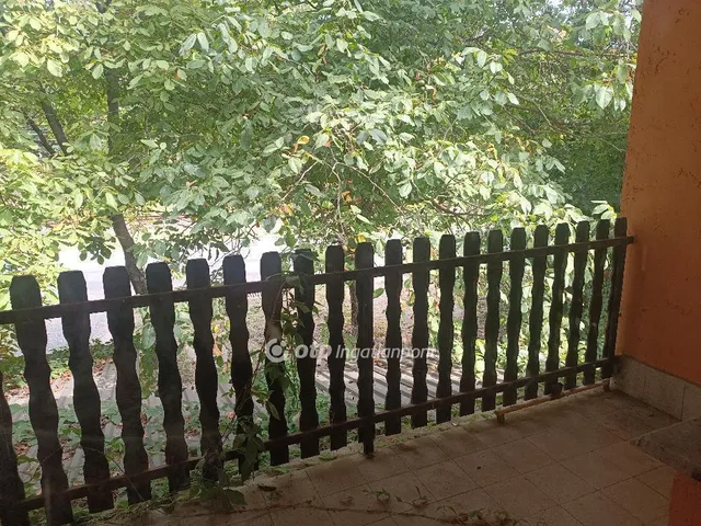 Eladó ház Tiszavasvári 236 nm