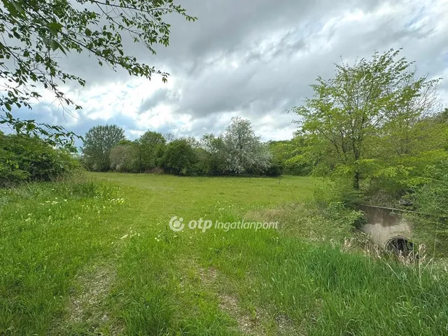 Eladó telek Hajdúszoboszló 7979 nm