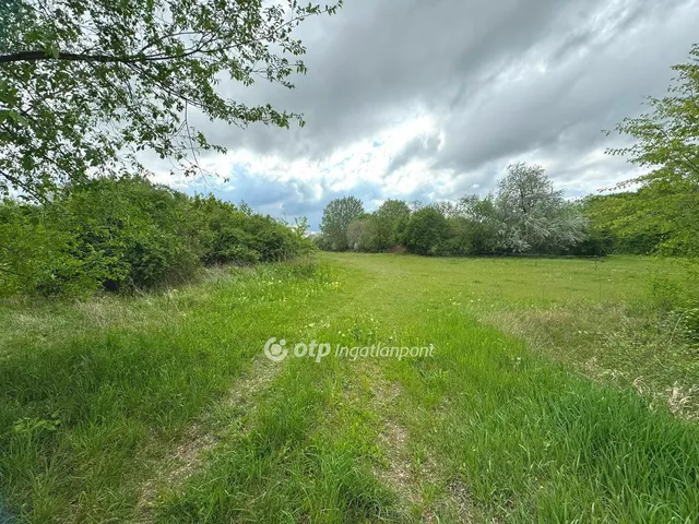 Eladó telek Hajdúszoboszló 7979 nm