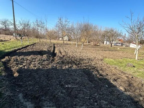 Eladó telek Berettyóújfalu 1059 nm