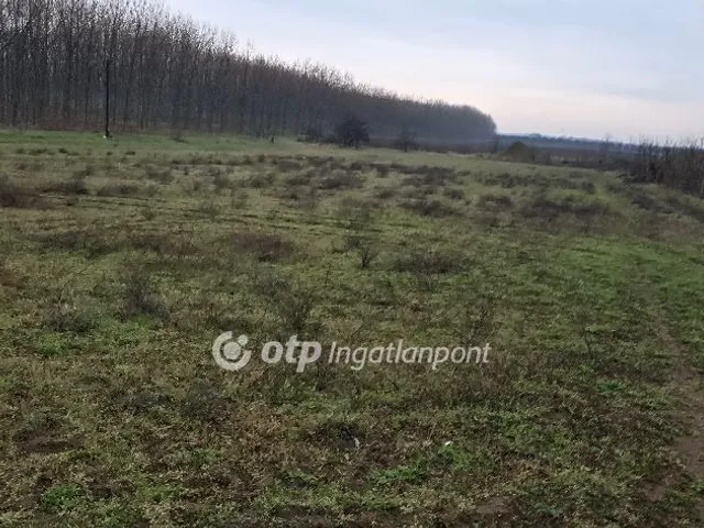 Eladó mezőgazdasági ingatlan Ebes 300 nm