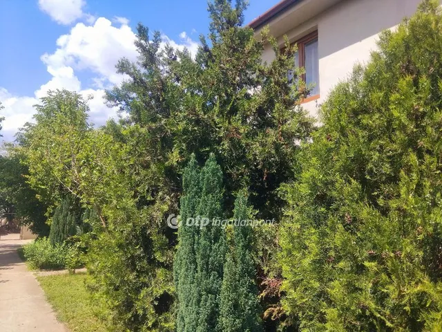 Eladó ház Hajdúböszörmény 240 nm