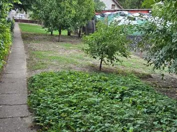 Eladó ház Hajdúdorog 170 nm