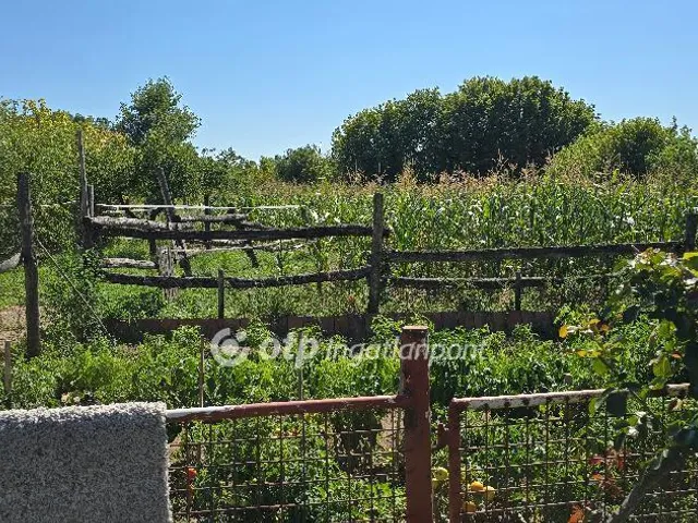 Eladó ház Nyírábrány 120 nm