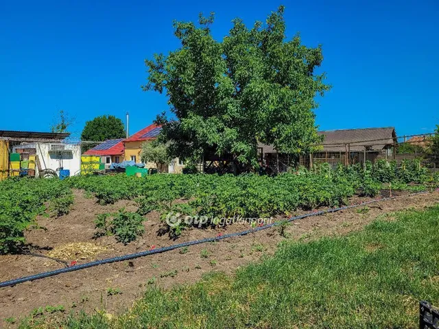 Eladó ház Hajdúnánás 72 nm