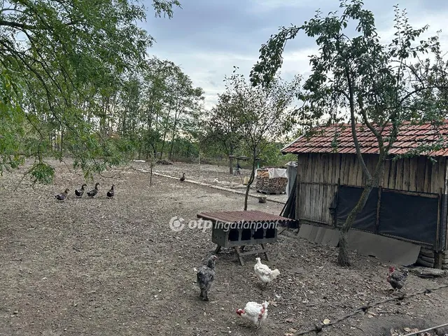 Eladó ház Biharnagybajom 56 nm