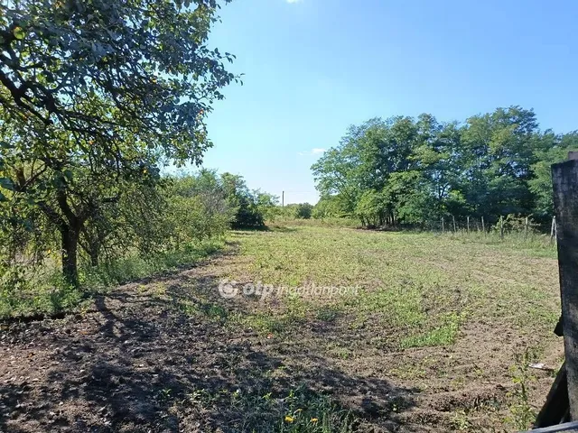 Eladó ház Sáránd 60 nm